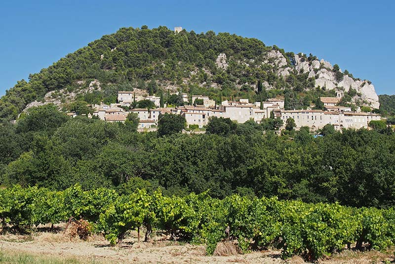 Blick über die Weinhänge auf Village de Seguret
